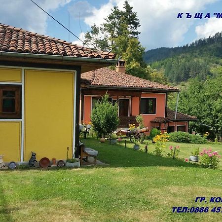 Mechta Guest House โคปริฟชทิทซา ภายนอก รูปภาพ