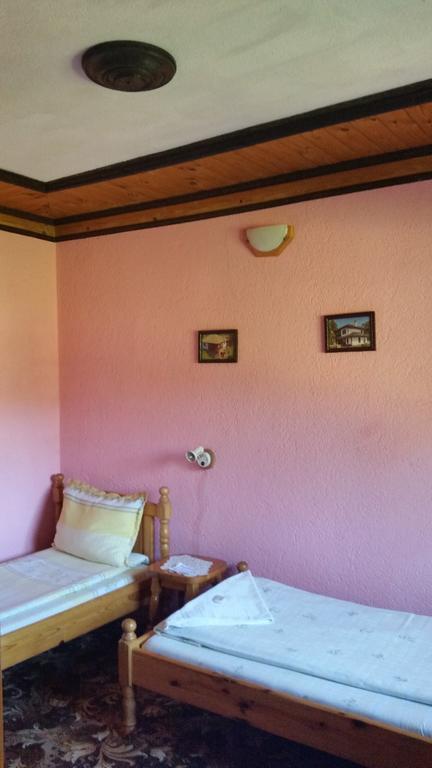 Mechta Guest House โคปริฟชทิทซา ภายนอก รูปภาพ